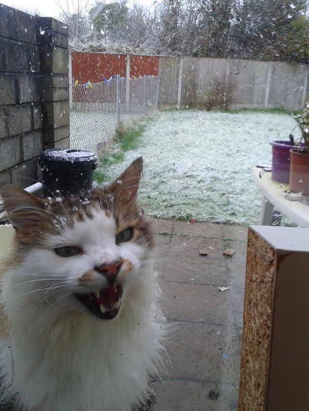 Please Let Me In, I Made A Huge Mistake