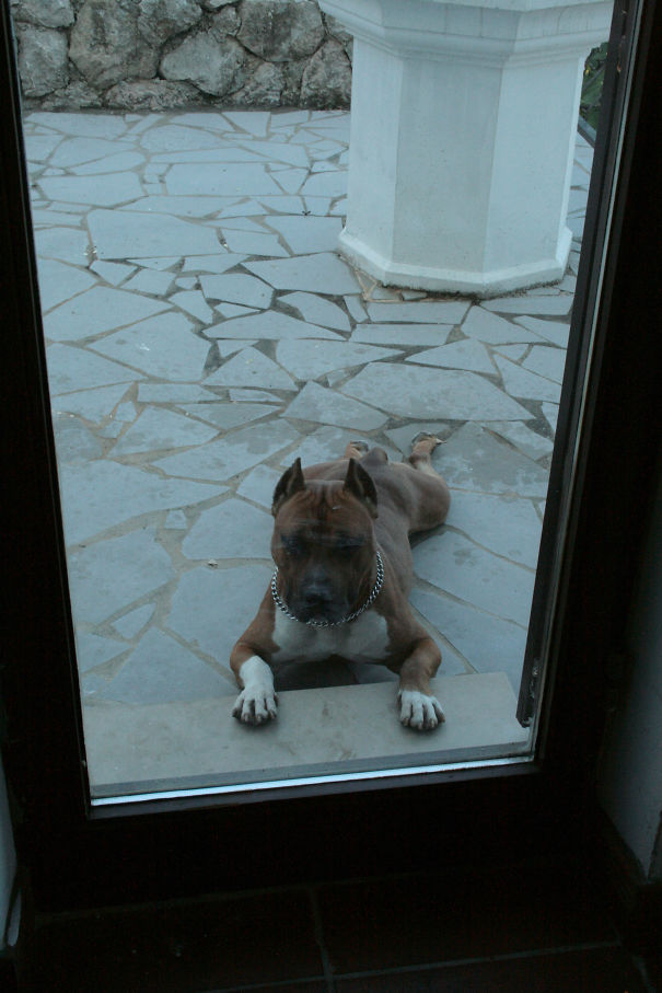 Please, See How Good I´m !