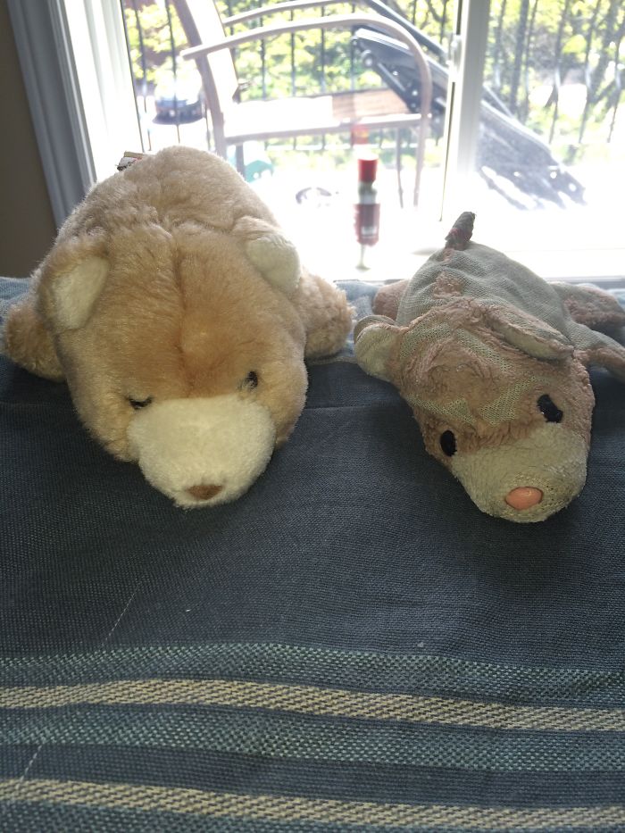 My 22 Y/o Snuffy And My Sisters 14 Y/o Snuffy. Someones Obviously Not Giving Enough Love...