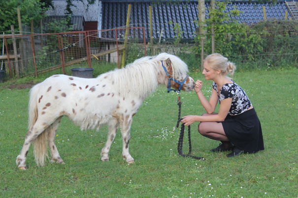 A woman kneels in a grassy field, interacting with a cute mini horse on a leash.