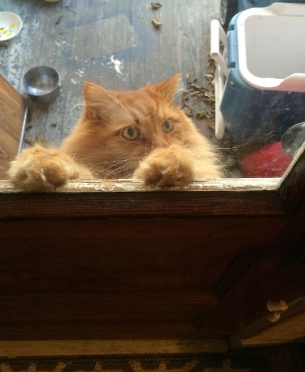 I'll Just Hang Out Here Until You're Ready.