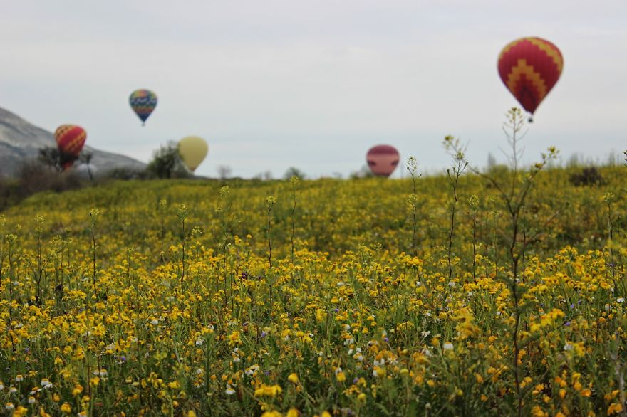 Once Upon A Time In The Wild, Wild Cappadocia