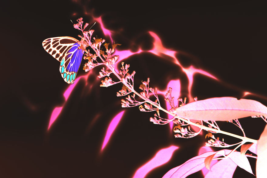 I Photographed Monuments And People Then Turned Them Into Color Negatives They Looked Beautiful