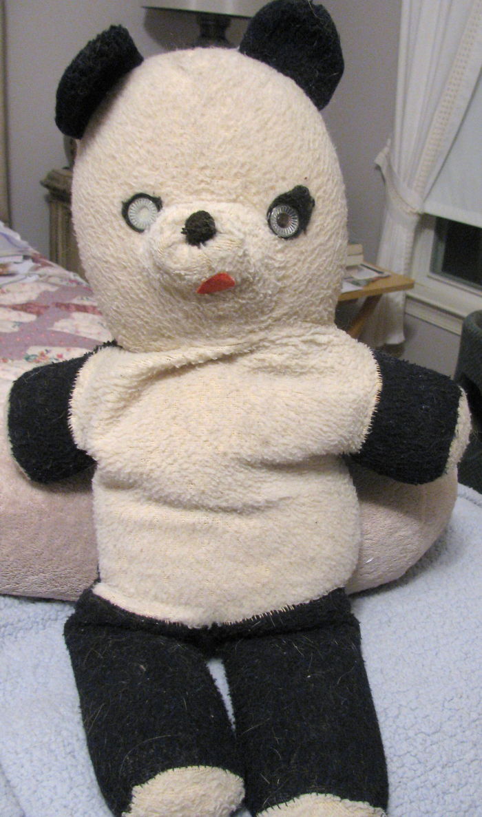 My 46 Year-old Panda Bear
