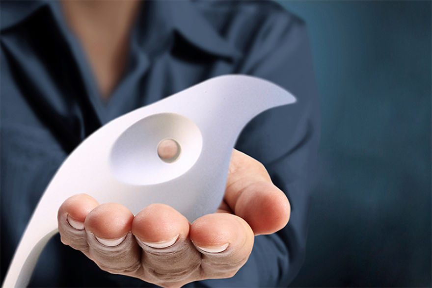 The Messenger: Track This Bird Traveling The World The Messenger: Track This Bird Traveling The World