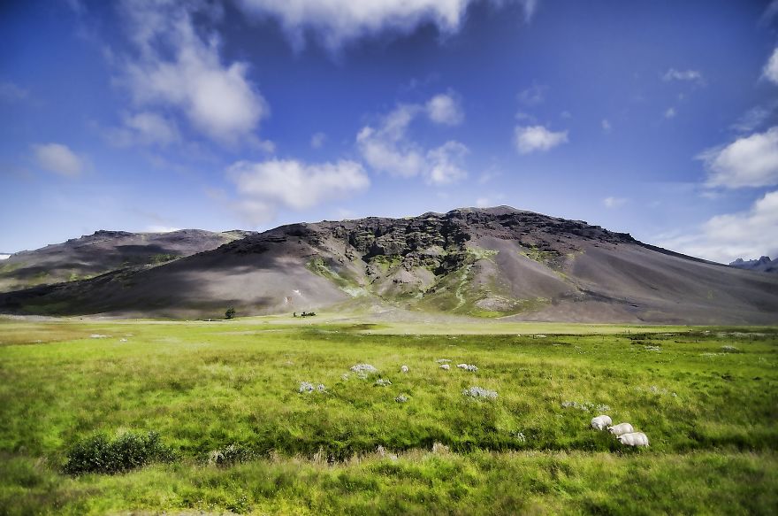 My One-way Ticket To Happiness