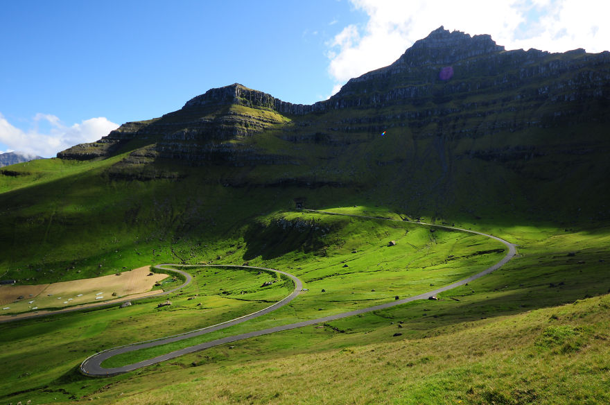 Green Fields On Kalsoy, Faroe Islands