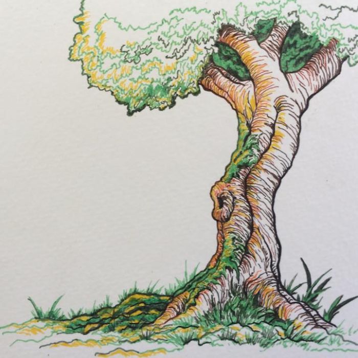 My Artworks Inspired By Nature My Artworks Inspired By Nature