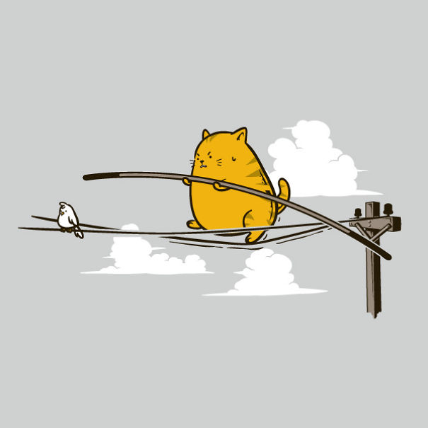 The Amazing Cats: I Illustrate The Secret Lives Of Cats