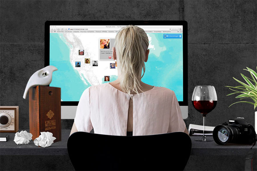 The Messenger: Track This Bird Traveling The World The Messenger: Track This Bird Traveling The World