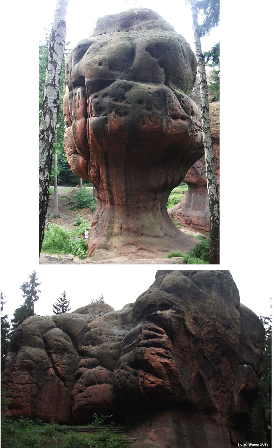 #49 Kelchsteine, Oberlausitz, Sachsen, Germany