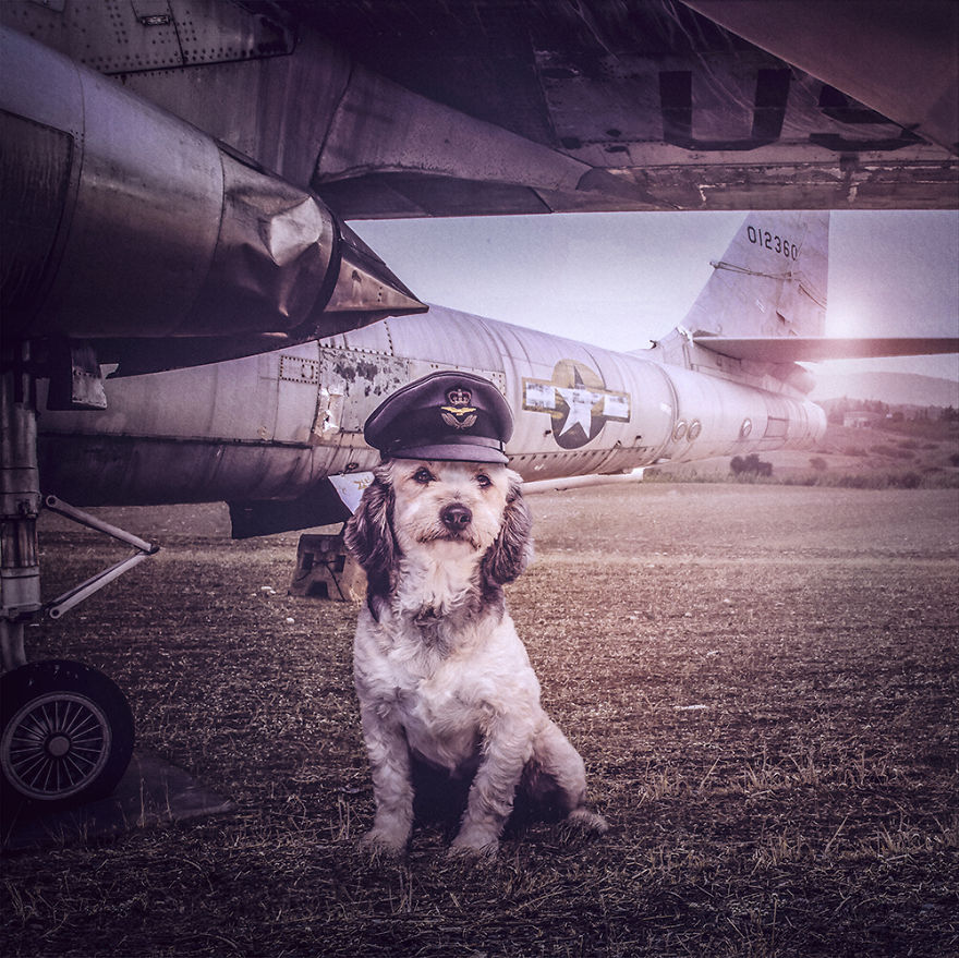 Surreal Rescue Dogs Finally Get Their Own Book!