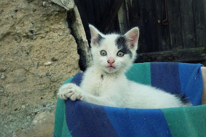 Eee...??? ;) Pitu Thinking About....?