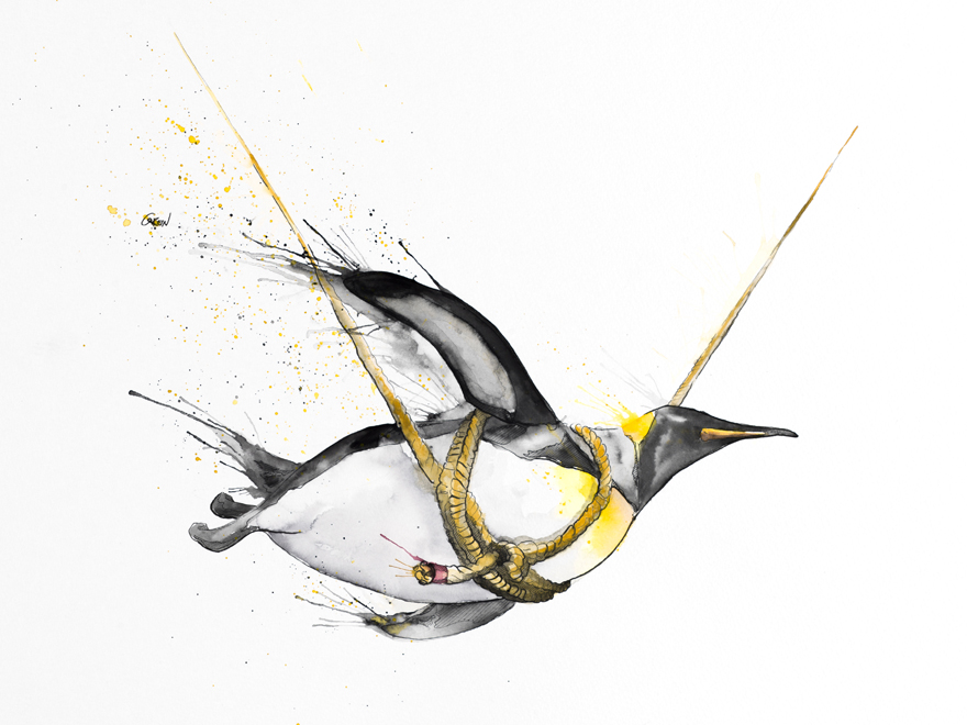 Quiet Animals In Loud Watercolors Quiet Animals In Loud Watercolors