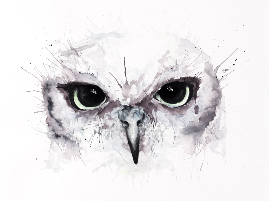 Quiet Animals In Loud Watercolors Quiet Animals In Loud Watercolors