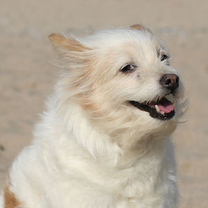 letitia.borcescu avatar