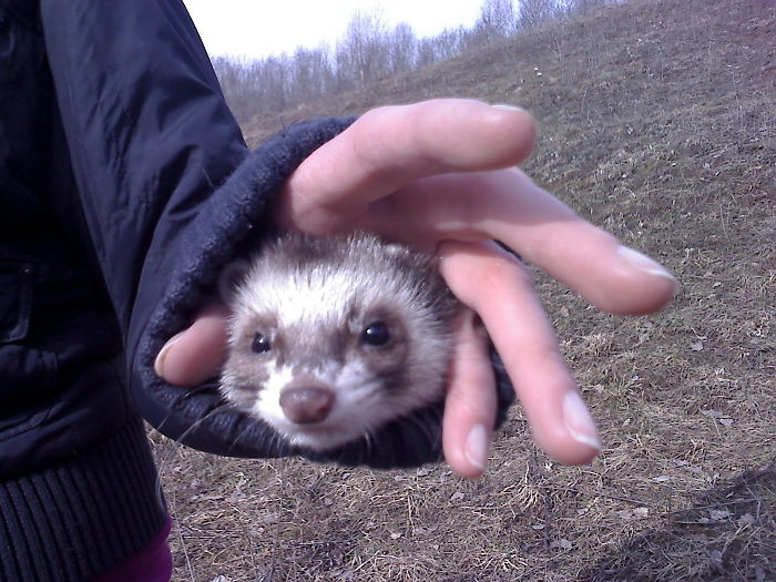 I Have A Trick Up My Sleeve :).