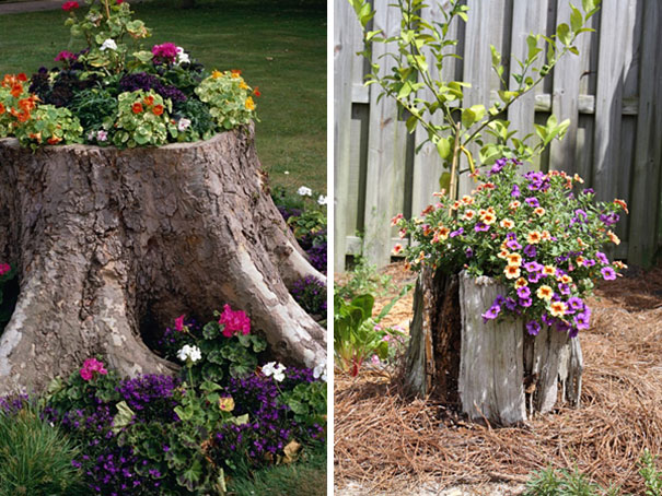 Tree Stump Garden