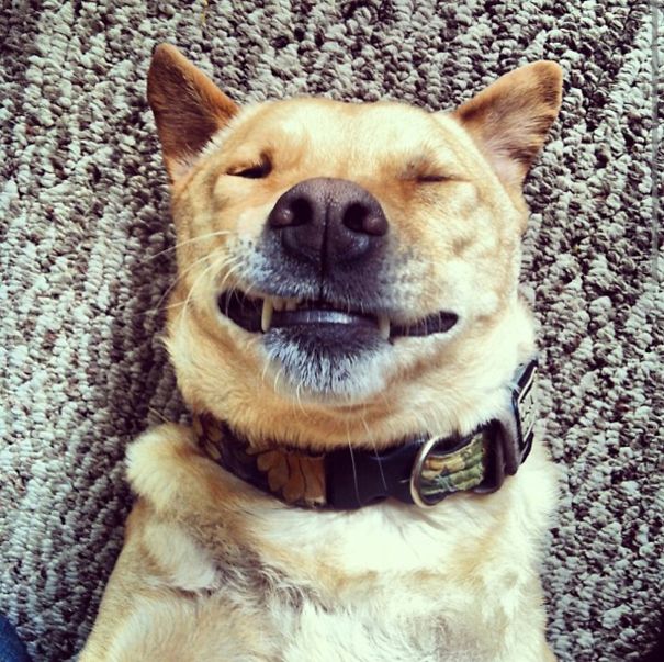 She Loves Her Chest Rubbed