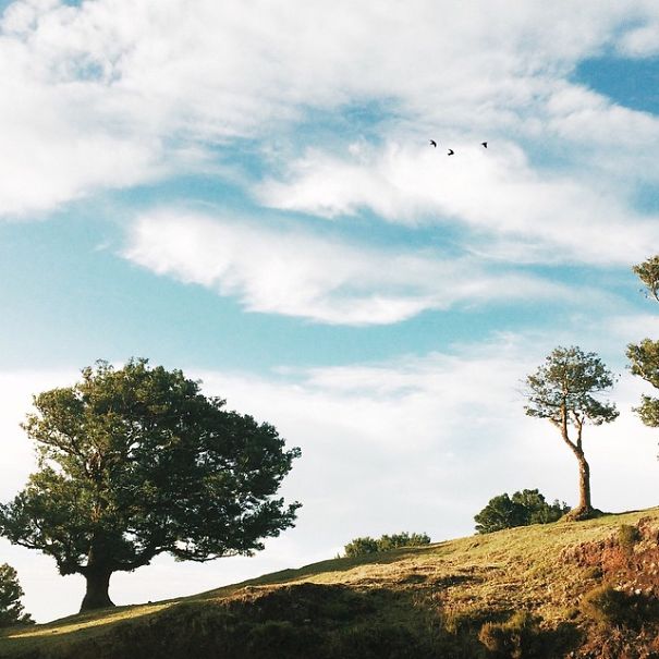 Sejkko — Photography