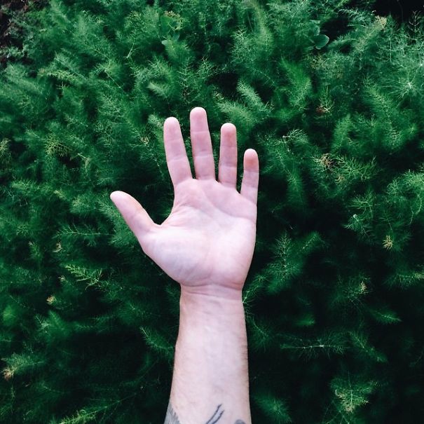 Sejkko — Photography