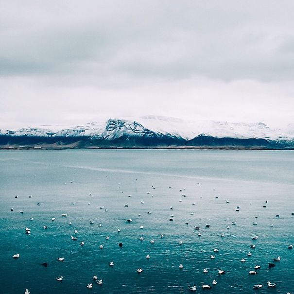 Sejkko — Photography