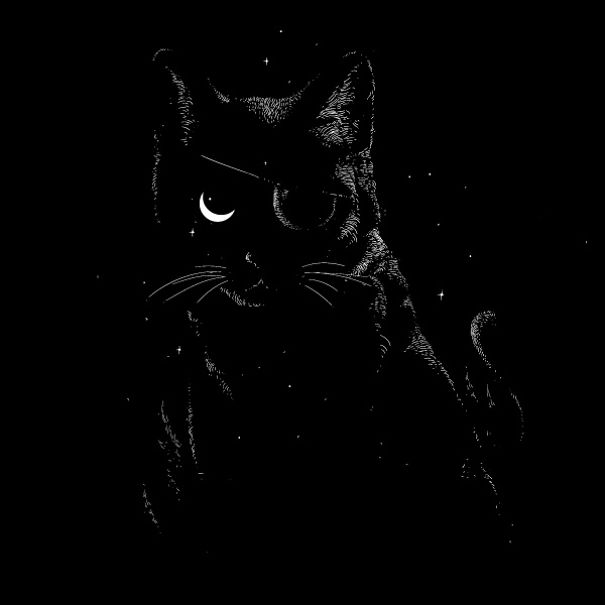 The Amazing Cats: I Illustrate The Secret Lives Of Cats