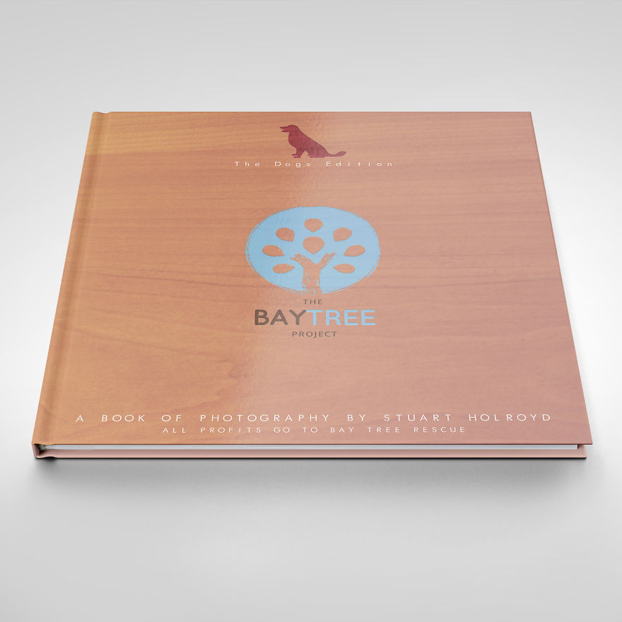 Surreal Rescue Dogs Finally Get Their Own Book! Surreal Rescue Dogs Finally Get Their Own Book!