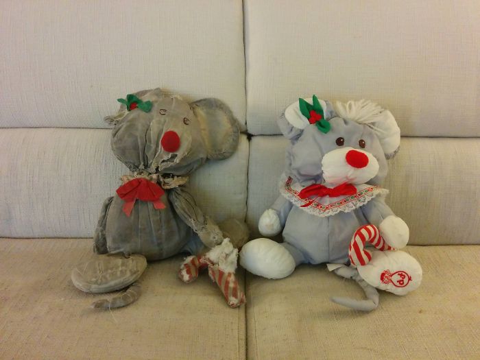 Carcass Of My Wife's Stuffed Mouse