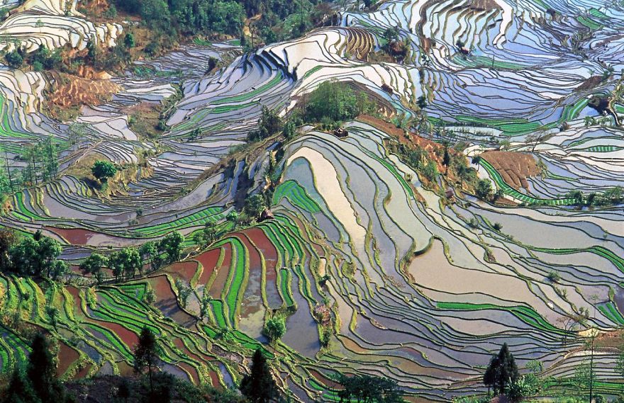 Yuanyang Rice Terraces, China.