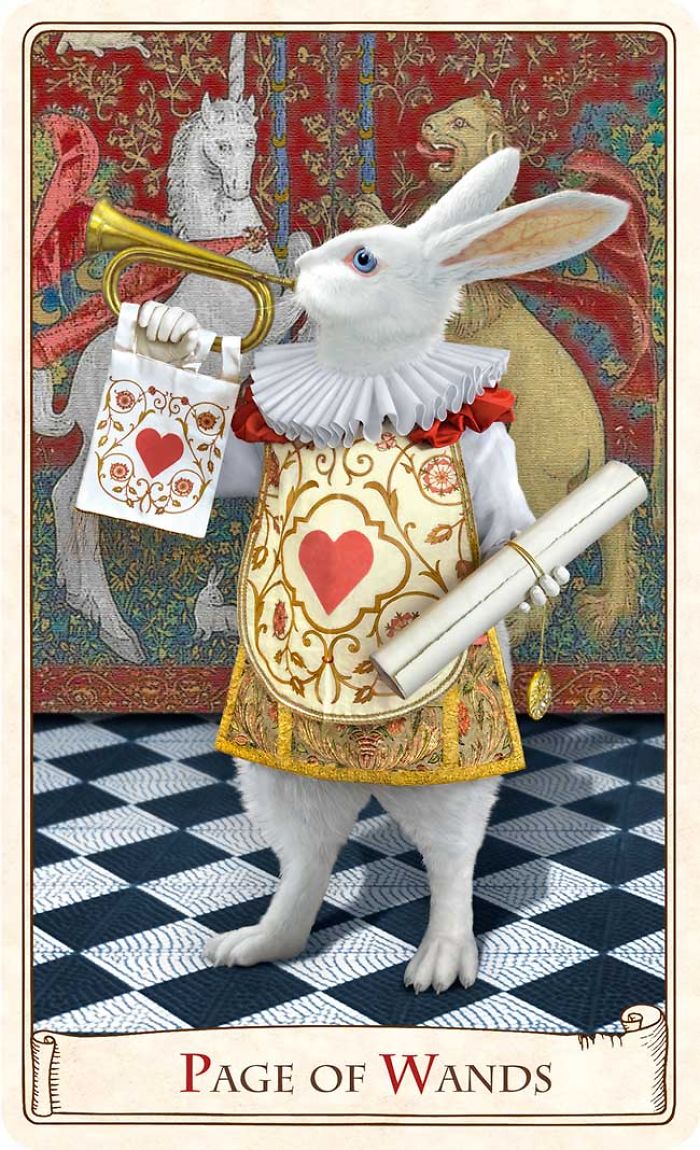 The Alice Tarot: A Curious Deck Of Cards That Took Us 5 Years To Make The Alice Tarot: A Curious Deck Of Cards That Took Us 5 Years To Make