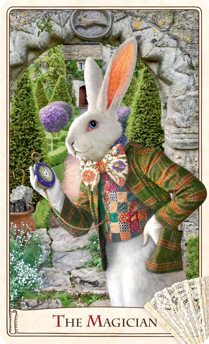 The Alice Tarot: A Curious Deck Of Cards That Took Us 5 Years To Make The Alice Tarot: A Curious Deck Of Cards That Took Us 5 Years To Make
