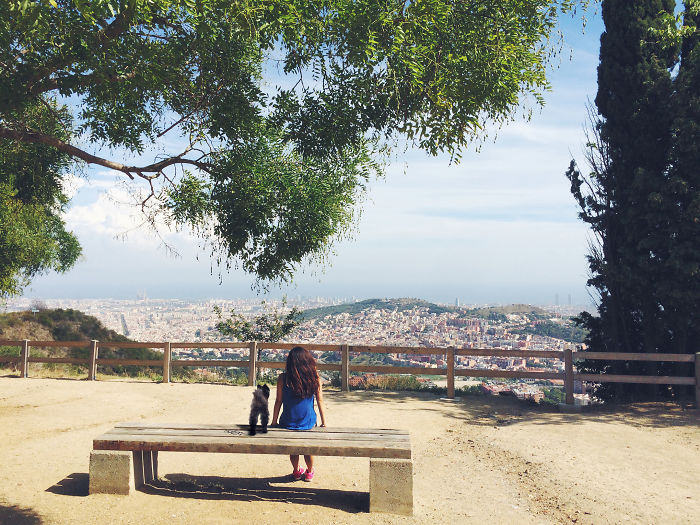 “Travel” With My Dog: I Photoshopped My Dog Into My Traveling Photos