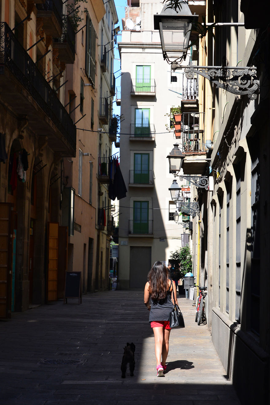 "Travel" With My Dog: I Photoshopped My Dog Into My Traveling Photos "Travel" With My Dog: I Photoshopped My Dog Into My Traveling Photos