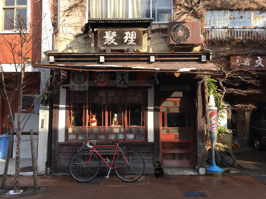 "Travel" With My Dog: I Photoshopped My Dog Into My Traveling Photos "Travel" With My Dog: I Photoshopped My Dog Into My Traveling Photos