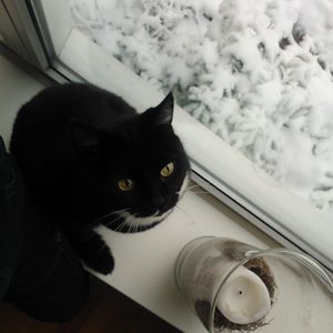 erik_nettekoven avatar