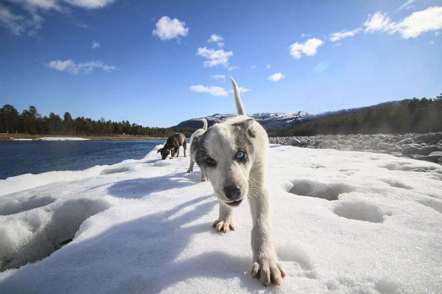 We Quit Our Jobs And Started Traveling To See How Far From Home We Can Get We Quit Our Jobs And Started Traveling To See How Far From Home We Can Get