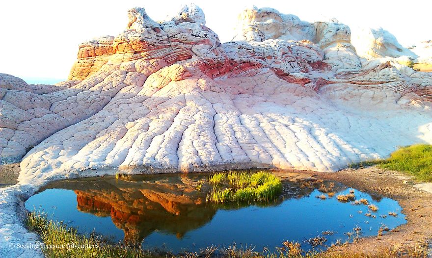 White Pocket - Vermilion Cliffs National Monument, Usa - Reflection Pool