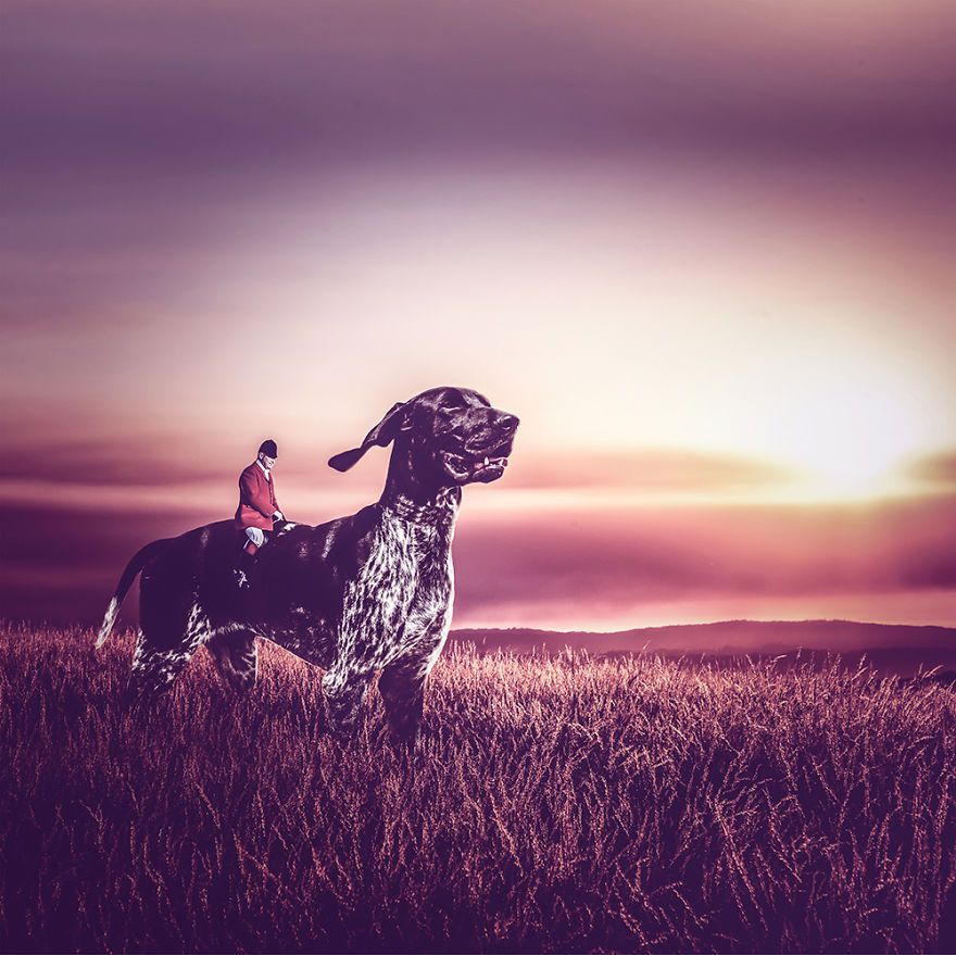 Surreal Rescue Dogs Finally Get Their Own Book!