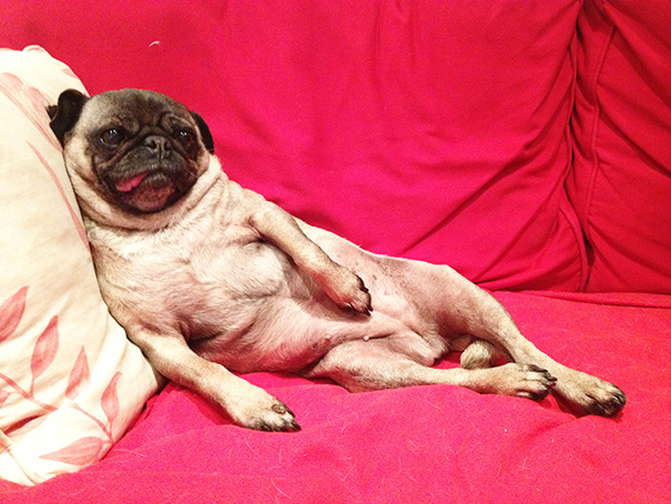 Paint Me Like One Of Your French Girls