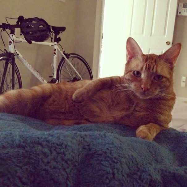 Paint Me Like One Of Your French Girls