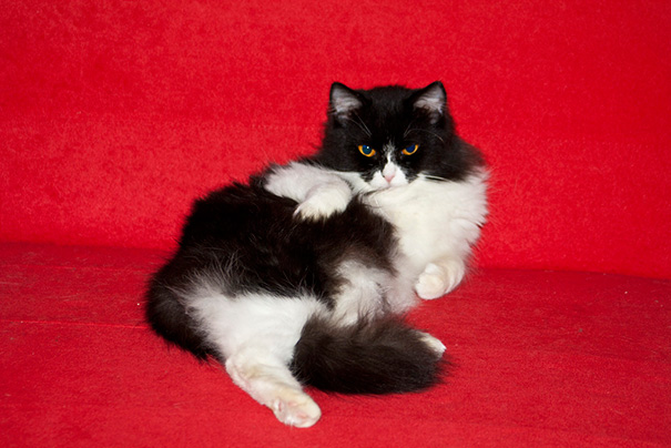 Paint Me Like One Of Your French Girls