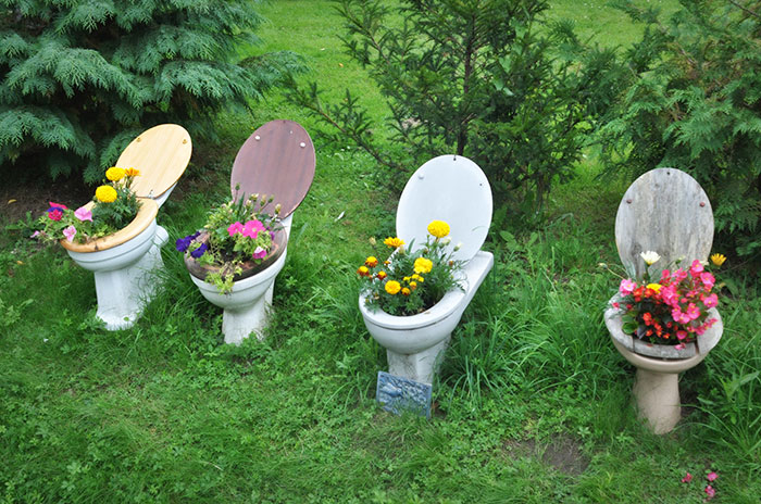 Toilet Garden