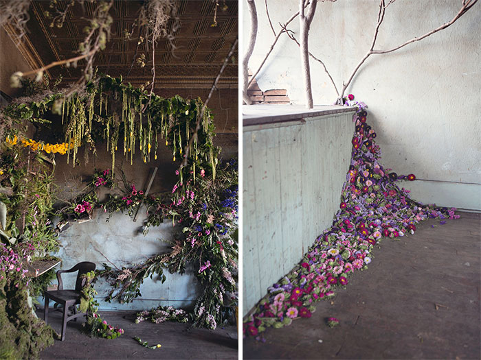 Abandoned House In Detroit Brought Back To Life With 4,000 Flowers