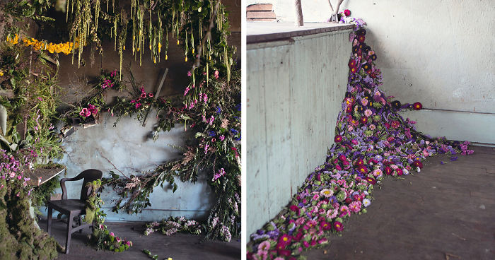 Abandoned House In Detroit Brought Back To Life With 4,000 Flowers