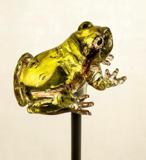 amezaiku-hyper-realistic-animal-lollipops-shinri-tezuka-japan-3