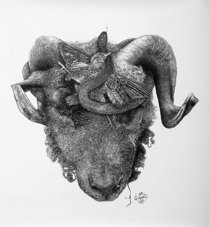 animal-hybrid-charcoal-drawings-liam-gerrard-2 animal-hybrid-charcoal-drawings-liam-gerrard-2