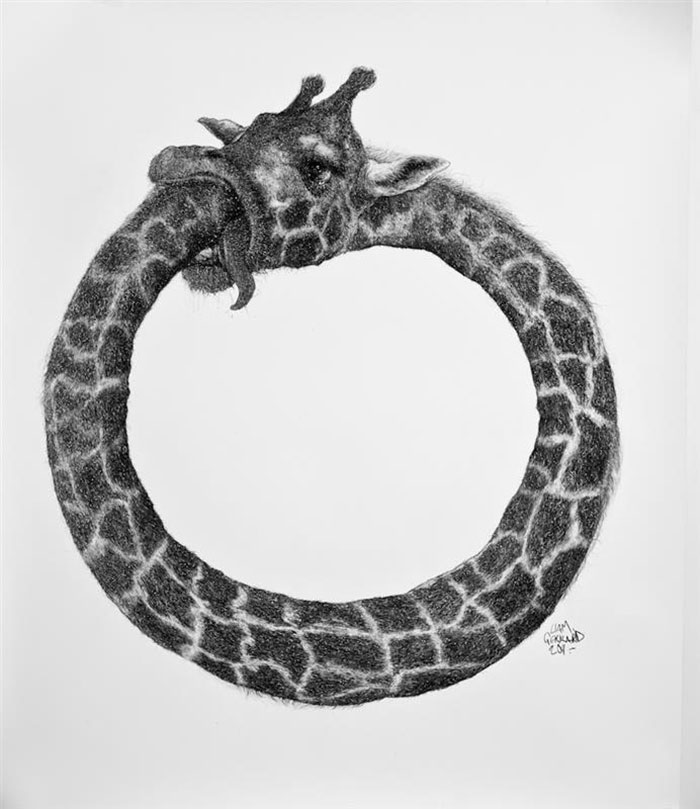 animal-hybrid-charcoal-drawings-liam-gerrard