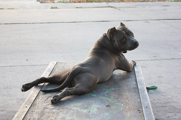 Draw Me Like One Of Your French Girls