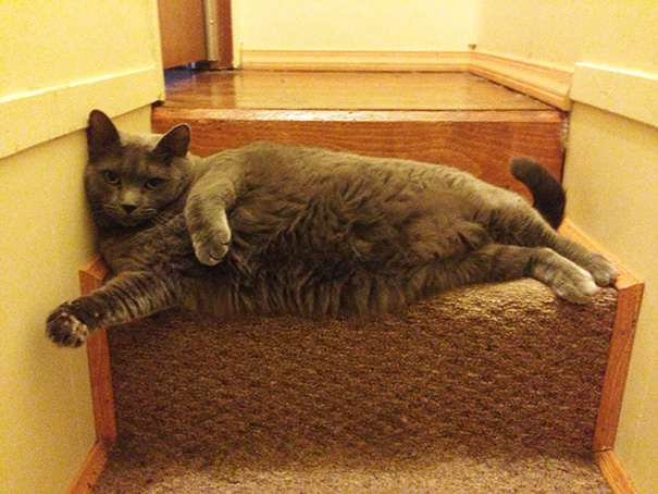 Draw Me Like One Of Your French Girls